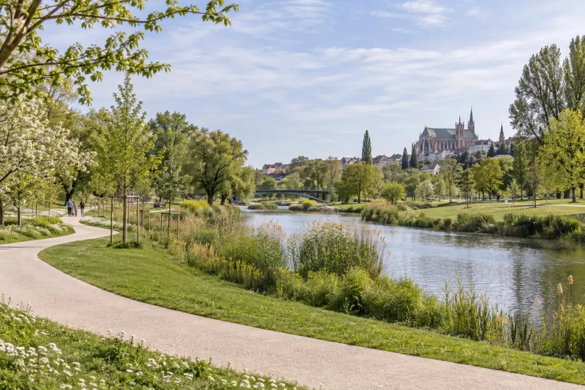Balade nature à Metz dans le parc de la Seille